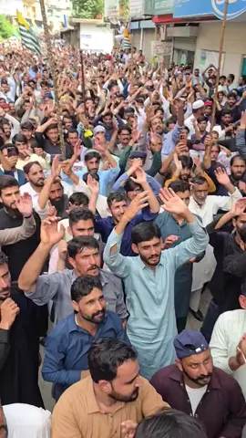 #creatorsearchinsights #ajkrightsmovement #fypシ #fypシ゚viral #saveyasinmalik 