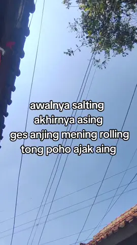 #sonictasik🏴‍☠️ #bukansonicgangster🏴‍☠️ #moots? #lewatberanda #fyp 