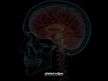 When Your Brain Turns Off Without Warning    #DarkPsychology  #neuroscience  #traumaresponse  #psychologyfacts 