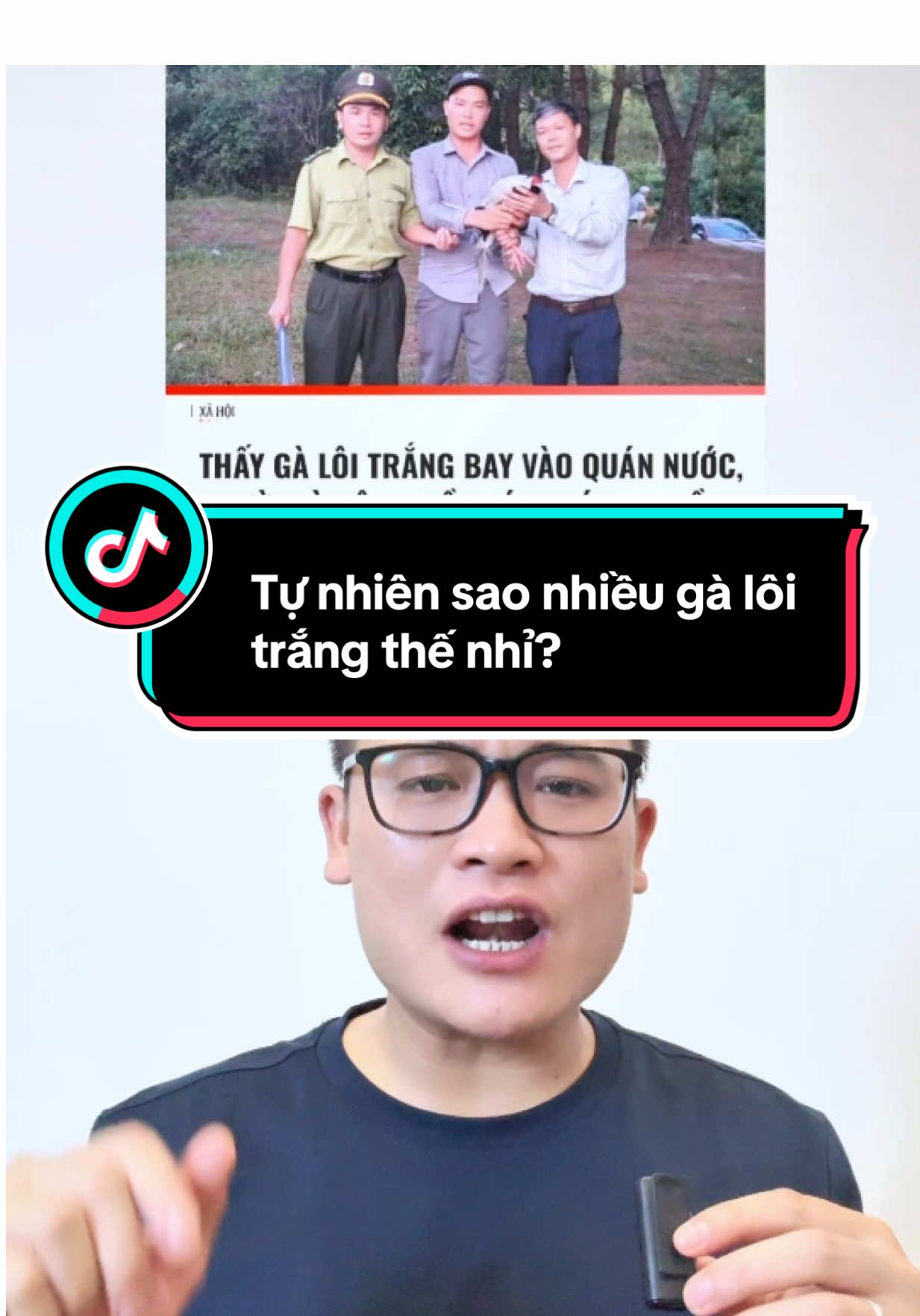 Gà lôi trắng ở đâu ra ấy nhỉ??? #tinnong #tintuc #tintuc24h #tinnongtrongngay 