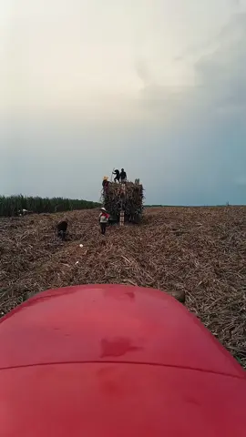 #CapCut 