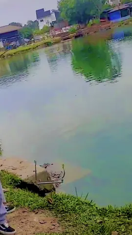 P#mancing #infospotmancing syahdu poll nek wes narik🤪#lewatberandamu #masjawa #fy 