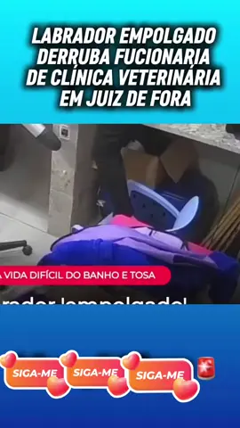 #informação 