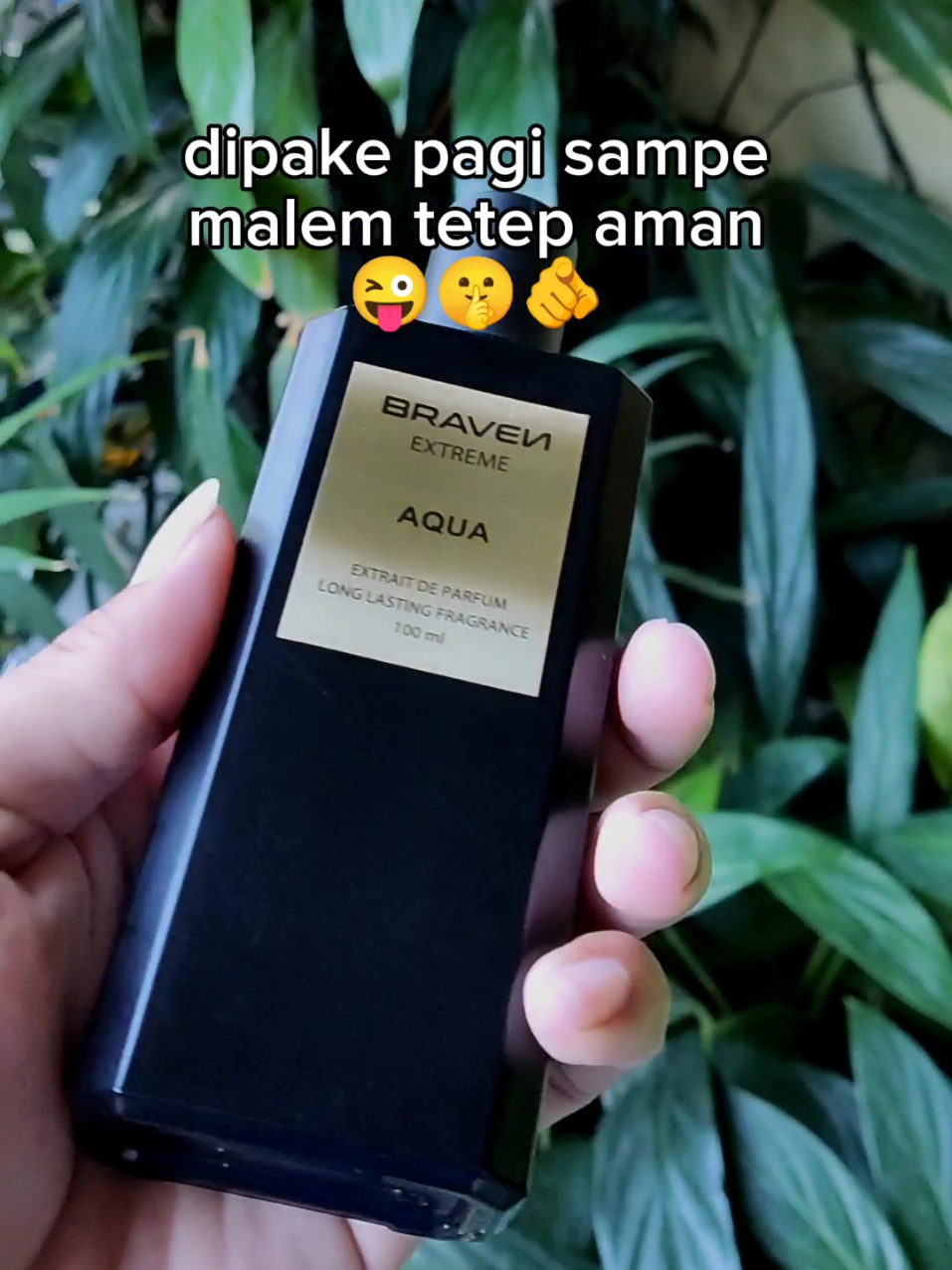 buat daily gass ❤‍🔥 #parfum #braven #evangeline #bravenparfum #evangelineparfum 