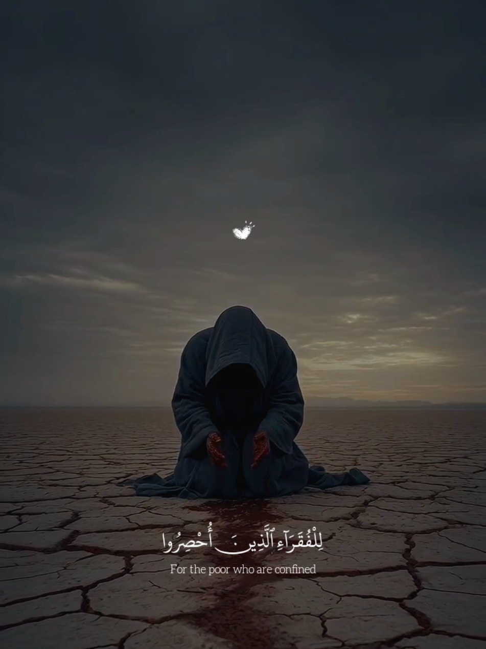 تلاوه خاشعه للقارئ عبدالله احمد شعبان 🎧 😴 🍂 من سوره البقره 😴 أرح سمعك وقلبك 😴🎧❤️‍🩹#عبدالله_احمد_شعبان  #قران_كريم  #quran_alkarim  #quran  #fyp 