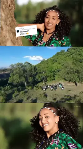Replying to @user7529025492207 part190#አማራዬ💚💛❤አማራዬ💚💛❤ #አማራዬ💚💛❤አማራዬ💚💛❤ 