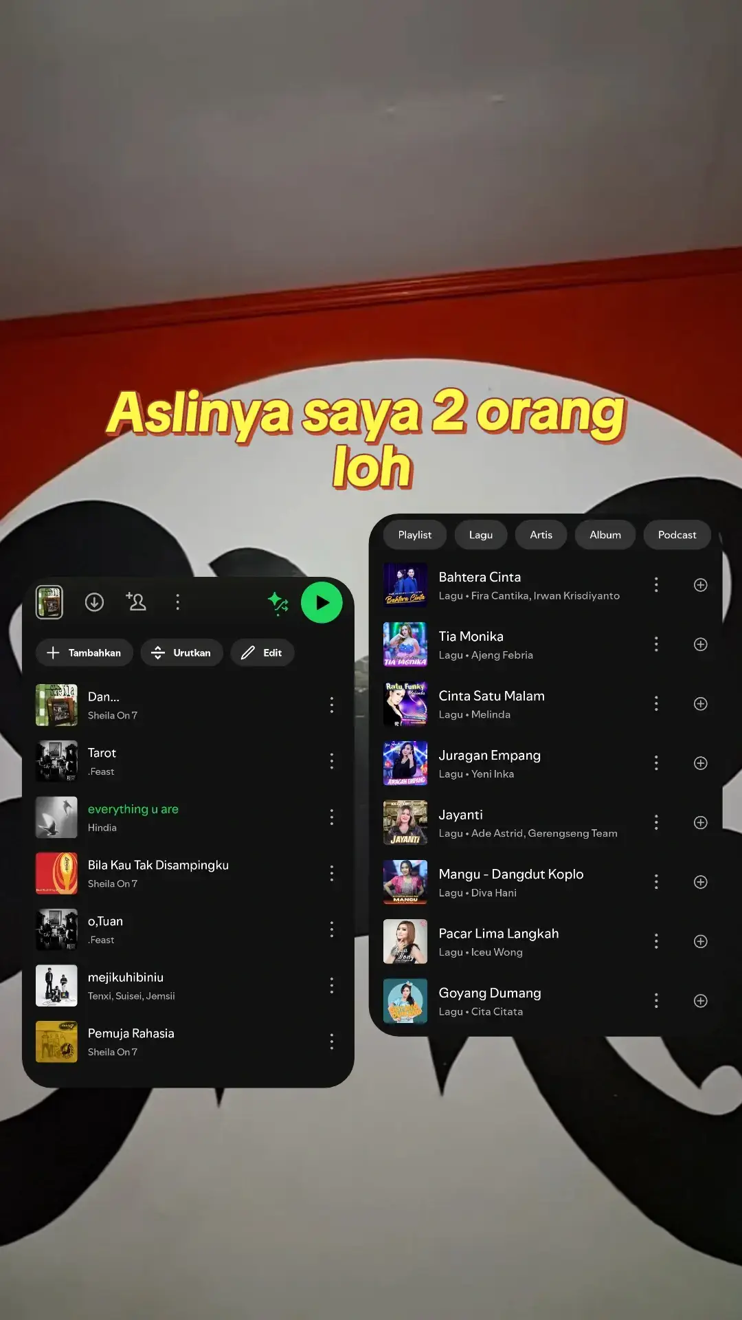🗣#dangdut #koplo #spotify #fyp #playlist 