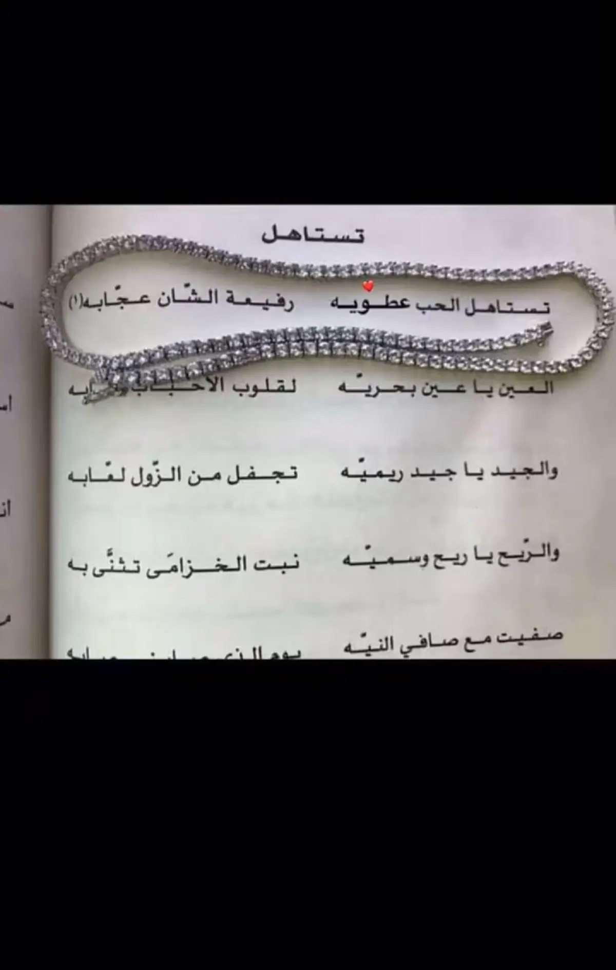 #تبوك_الورد_تبوك_تيماء_ضباء_حقل 