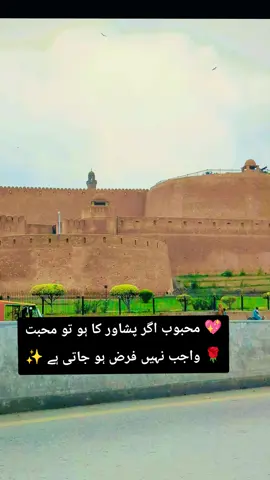 💖 محبوب اگر پشاور کا ہو تو محبت 🌹 واجب نہیں فرض ہو جاتی ہے ✨ #viral #foryou #foryoupage #plzviral🥺🥺🙏🙏foryoupage #plzunfrezemyaccount @🌟 Glow آفریدی 🌟 @SSG Phathanii @Maryam Khan @Cute Pathanii @🎀👑🪽 @𝑩𝒓𝒐𝒌𝒆𝒏 𝒔𝒐𝒖𝒍 💔 @BROKEN💔- SARA♡-💔🥺 @Seema Afreedy. @🥀 Afridi Khan 🥀 @user206211961325 