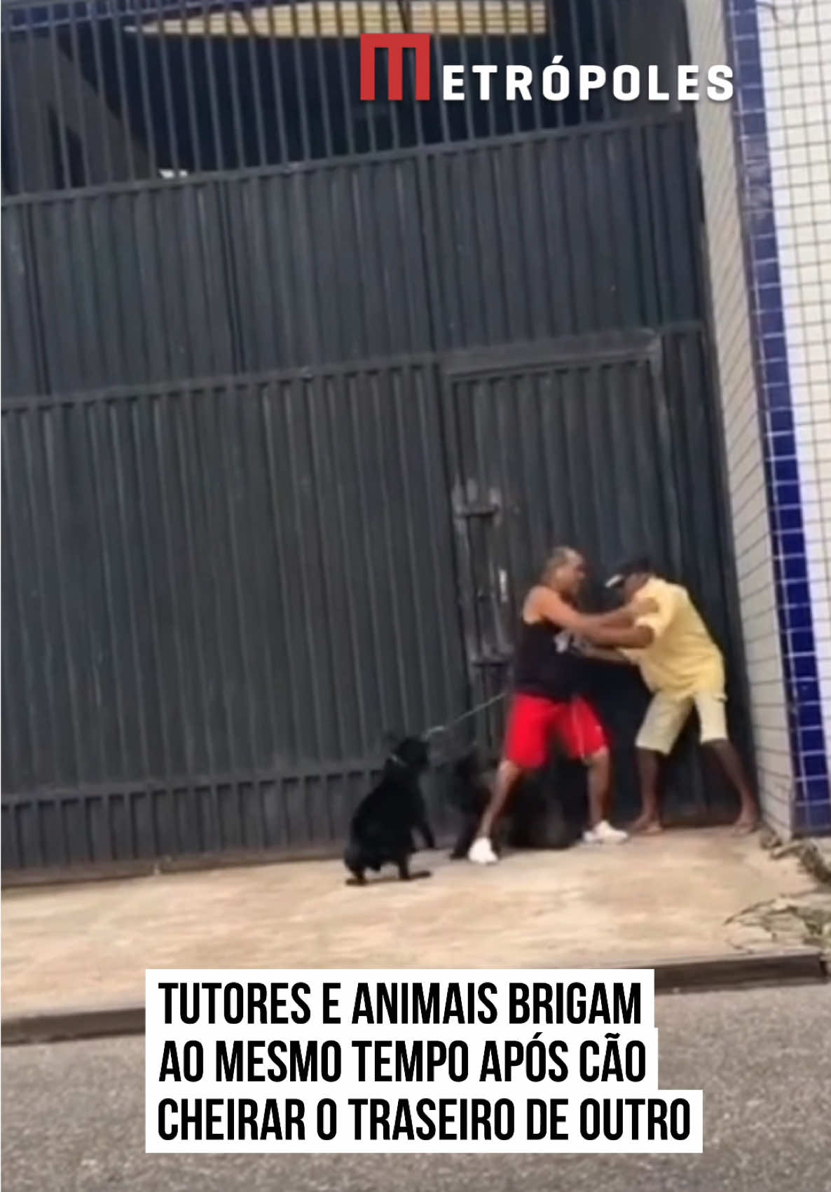 Minha gente,  o que rolou aqui?... 😳😳😳  Um caso curioso repercute nas redes sociais após dois homens entrarem em briga física no bairro de #ÁguasLindas, na região metropolitana de #Belém (PA), por um motivo, no mínimo, inusitado: o comportamento natural dos cães. No vídeo que circula na internet, é possível ver o momento em que os #cachorros dos homens se encontram na rua e, como é comum entre os animais, cheiram o traseiro um do outro como forma de reconhecimento. Contudo, o gesto, típico entre os cães, não foi tão bem recebido pelos tutores. Conforme relatos de quem presenciou a cena, um dos homens se incomodou com o “cheiro desinibido” do cachorro alheio e deu início a uma discussão com o outro tutor, acusando o cão do outro de ser o causador do incômodo. A troca de farpas evoluiu rapidamente para agressões físicas no meio da rua. A situação foi registrada em vídeo e causou diversas reações. Internautas se dividiram entre o riso e a indignação. “Isso foi tão ridículo, que chega ser engraçado”, comentou um usuário. Outro ironizou o comportamento dos envolvidos: “Cachorro teve que parar de brigar pra ir separar, aí é foda”. “Como pode, aonde vamos parar com tanta violência? Tudo já é motivo de desavenças”, alertou outro. #tiktoknotícias