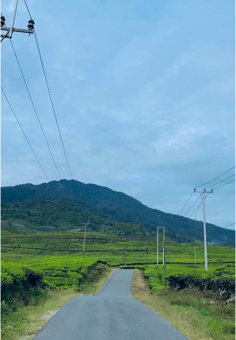 Rayola + Vibes kebun teh danau kembar🍃 #rayola #malapehhao #kebuntehdanaukembar #solok #sumbar #fyppppppppppppppppppppppp 