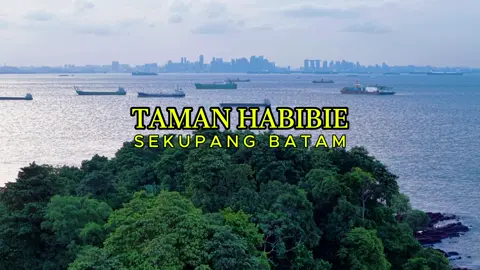 Pemandangan laut dan panorama kota batam bahkan Singapore bisa dilihat dari sini. Taman Habibie tempat yang cocok untuk bersantai sambil menikmati sunset dengan hutan kecil dan pantai berbatu, serta kapal-kapal berlalu lalang, konon juga memiliki sejarah tempat peristirahatan BJ Habibie dulunya #batamtiktok #batamhits #batampunyacerita #tamanhabibie #sekupang 