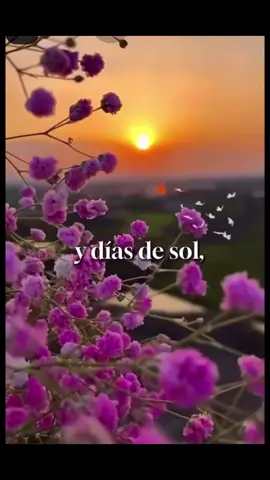 Cada día es una nueva esperanza 🙌 una nueva lucha pero un regalo más 🙏 #vidabuena#luchaporsermejor#reydereyes👑 #tiktok 