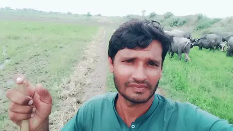 #foryoupage #ViralTikTok #Viral Video #monitiozview @Alihussain Saikhu @Asad Ali Bhullah @Bho Ashraf 