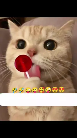#unfreezemyacount #teamwork #vairalmyvideotiktokteamlpzzzzzzzz #foryoupage #😂😂😂🤣🤣🤣🤣🤣🤣😅😅😅😄 