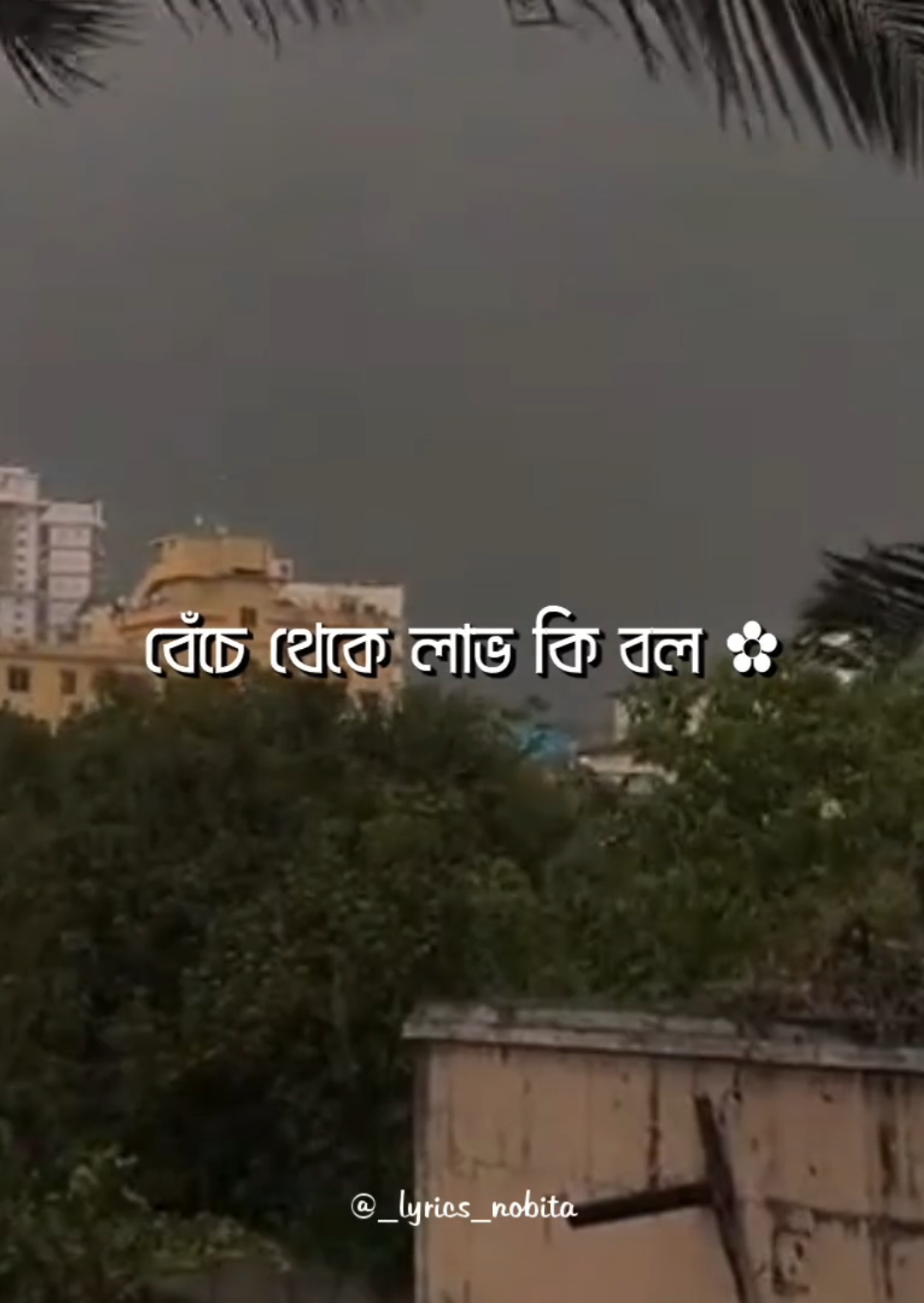 - চোখে শুকিয়ে গেল জল 🩹 - বেঁচে থেকে লাভ কি বল ❤️‍🩹 . . #foryou #lyrics #_lyrics_nobita_ #exe_shafi #aesthetic 