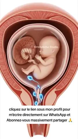 Tomber enceinte avec seulement lmois de traitement disponible chez Docteur Guillaume#pourtoi #france #grossesse #enceinte #fyp 