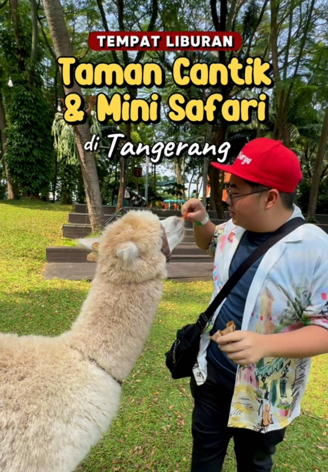 Wisata Deket Jakarta! Kalo cari tempat wisata daerah Tangerang, boleh banget ke sini! Bisa main sepuasnya sama Alpaca 🦙 @Scientia Square Park  #jakarta #jakartahits #wisatajakarta #tangerang #placetogojkt 