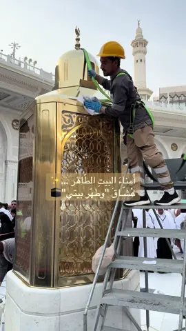 أُمناءَ البيتِ الطّاهر …✨ ‏عُشّـاقَ 