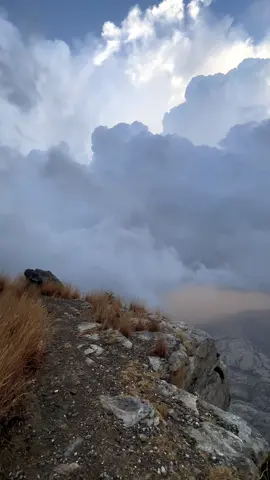 جمال منظر السحب وضباب بتنومة ☁️ #تنومة #اكسبلور #ضباب #اكسبلوررر #طبيعة#عسير #l 