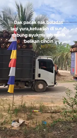 ayuk mu la mintak di ikat🤣#truksawit#canterhdx#nmr71#fypシ゚viral🖤tiktok#masukberanda 