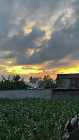 #fyp #nyore #blora24jam #senja #ngopi 