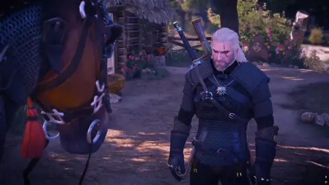 Обожнюю  #баги #відьмак #плітка #witcher 