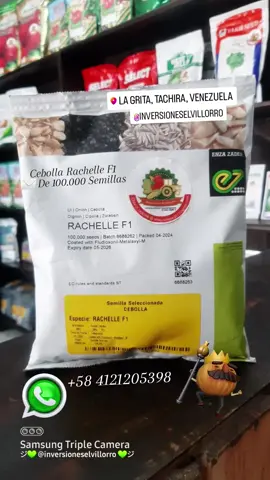 Cebolla Rachelle F1 🧅 Es un Híbrido amarillo.  Material de día corto, se comporta  adecuadamente en condiciones de clima  caliente y seco.  Presenta buen potencial de rendimiento,  almacenamiento y bulbos muy firmes.  Ciclo intermedio más largo. De sabor suave (dulce).  Tiene buena adaptación a diferentes  condiciones de altitud y clima, con buena  adaptación en época de verano en zonas bajas y excelente para altura soportando el frío.  Se adapta ampliamente a diferentes  condiciones. Buena tolerancia a enfermedades de follaje. Buena calidad y uniformidad del bulbo. Alto potencial de rendimiento. Duración del ciclo: 130 a 160 días después del transplante, dependiendo de la época  de siembra, altitud de siembra,  condiciones locales y factores climáticos. Uniformidad de cosecha. Buen cierre de cuello. ✉️ De 100.000 semillas. 📱 WhatsApp +58 412-1205398 ジ💚 @inversioneselvillorro 💚ジ #inversioneselvillorro  #semillas #siembra  #campo #onion 
