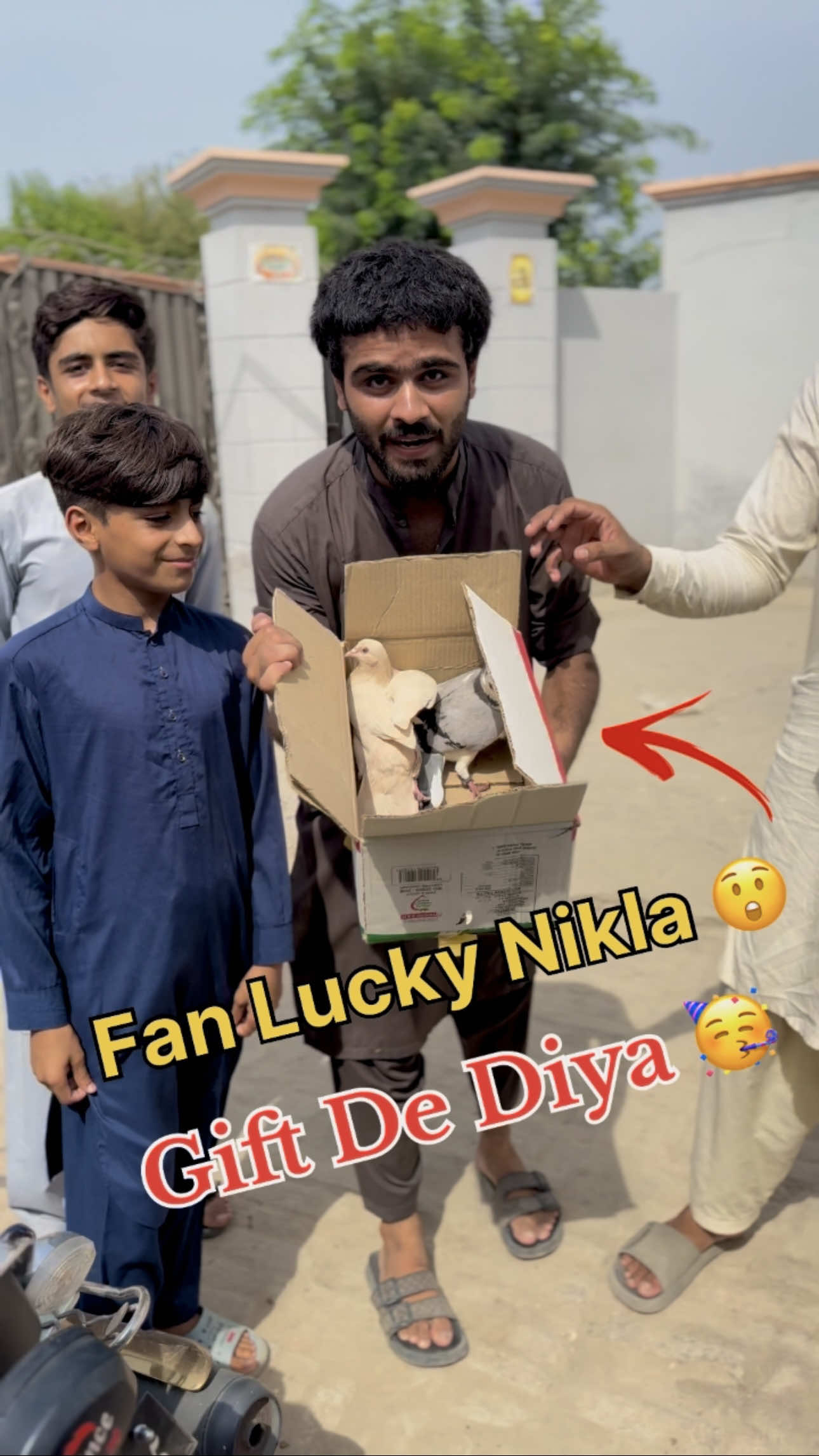 Lucky Fan Nikla 😱Jaldi Sai Follow Kr Lo 💐🌺#shortvideo #pigeon #pet #bird#kabootar #kabootarloft05#saudiarabia🇸🇦 #reelinstagram❤️ #foryoupage❤️❤️ 