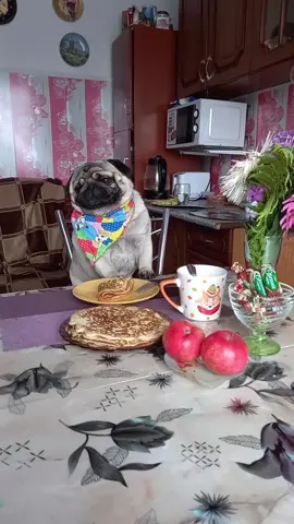 #рекомендации 