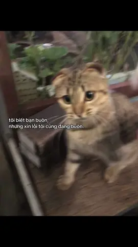 #fypシ゚ 
