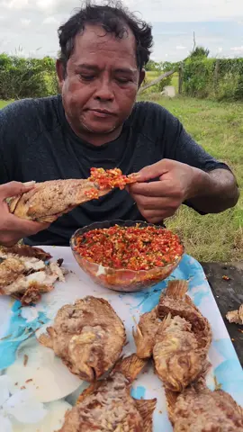 Yummy crispy red fish with spicy sauce #food #yummy 