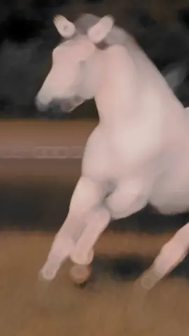 #CapCut #عشق_الخيل_ادمان🐎❤️ 