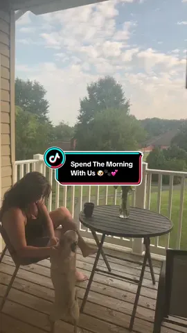 Spend the morning with us 🐶🐾💕 #pugsoftiktok #pugmom #pugtok #puglife 