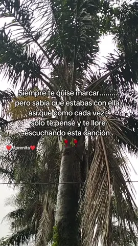Créditos a mi fotógrafo favorito 🫶 #ojalaquemeolvides #laarrolladorabandaellimón #amorimposible #tristeza #contenidotiktok 