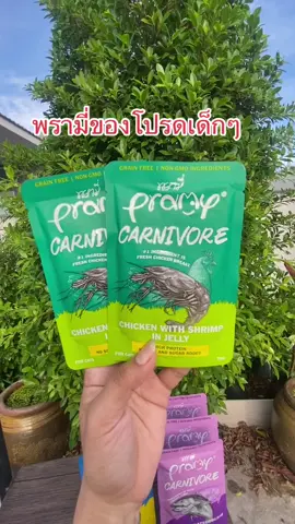 #พรามี่ #เปียกแมว #ทาสแมว #เปิดการมองเห็น 