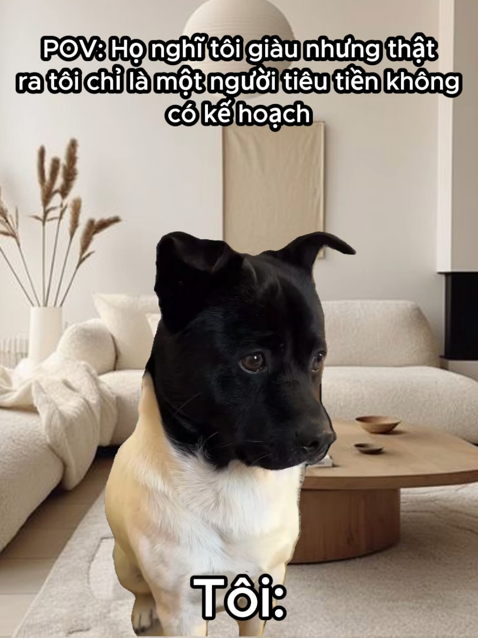 Tôi không giàu #memes #kozyfashion 