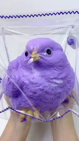 FUFUSQUISHY ASMR 🐤🐤Giant Chick