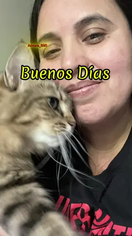 #CapCut #Que tu día esté lleno de la presencia de Dios que Dios te ayude en todo lo que necesites que supla todas tus necesidades en el nombre de Jesús Bendiciones 🙏