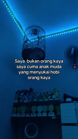 🫵🏻#kicaumania #muraibatumania #storykicaumania #muraibatuindonesia #hokyteam 
