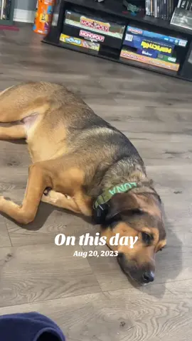 #onthisday 