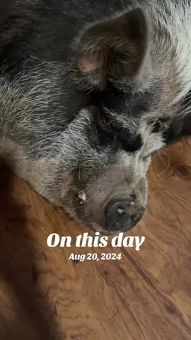 #onthisday 