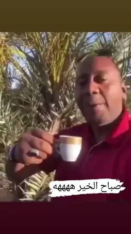 صباح النخل المتنقلة ههههههههه#Boxing 