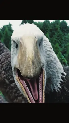 #dinosaur #animals #dinosaurs 