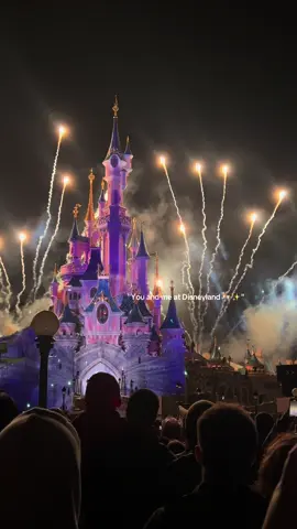 #disneylandparis #fypシ゚ #youandi #q8 