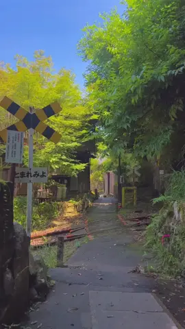 夏の日、日本の路地で青春映画が始まった。 🍃 この村は、本物の夏にしか感じられない感動に満ちていました。 歩いているだけでもアニメのワンシーンのようで、カメラを置けない近所でした:) 📍長門湯本温泉村 📸iPhone 13 Pro