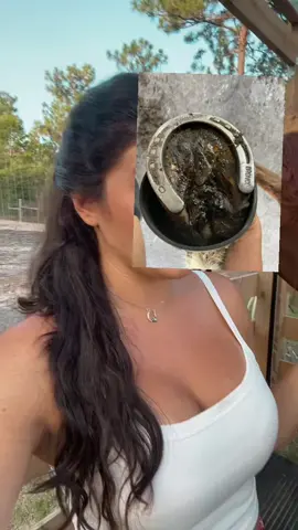 ✨ Horse girl hack you NEED ✨ Thrush doesn’t stand a chance with this stuff — it’s my go-to and the only product I trust to keep my horses’ hooves healthy 🐎💪 🛒 You can find it linked in my bio under my Amazon Storefront → Horse Must Haves #HorseCare #EquestrianLife #HorseGirlMustHaves #BarnTips #HorseTok