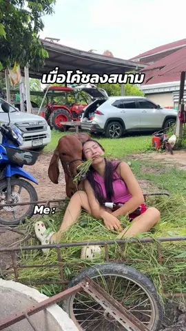 บ่จื่อบ่จำ #ดาราสาวบ้านนา #คลิปฮาน้ําตาไหล #คลิปฮาๆขําๆ #คลิปตลก 