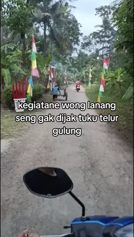 tulur tirex #wonggendeng