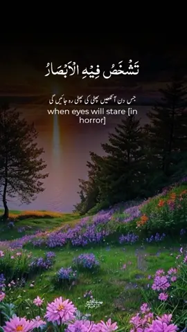 #capcut #tiktok #foryou #foryoupage❤️❤️ #viral #fyp #fpy #fpyシ #fpyツ #unfreezemyacount #allah❤️ #quran_alkarim 